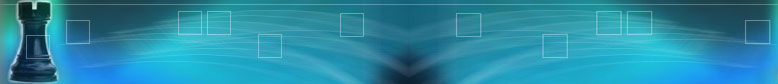 HBSC - Provider of leading business technology consulting services
